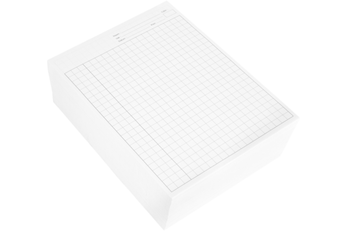 Examenpapier dubbel A4, ruit 10 mm, 1000 vel